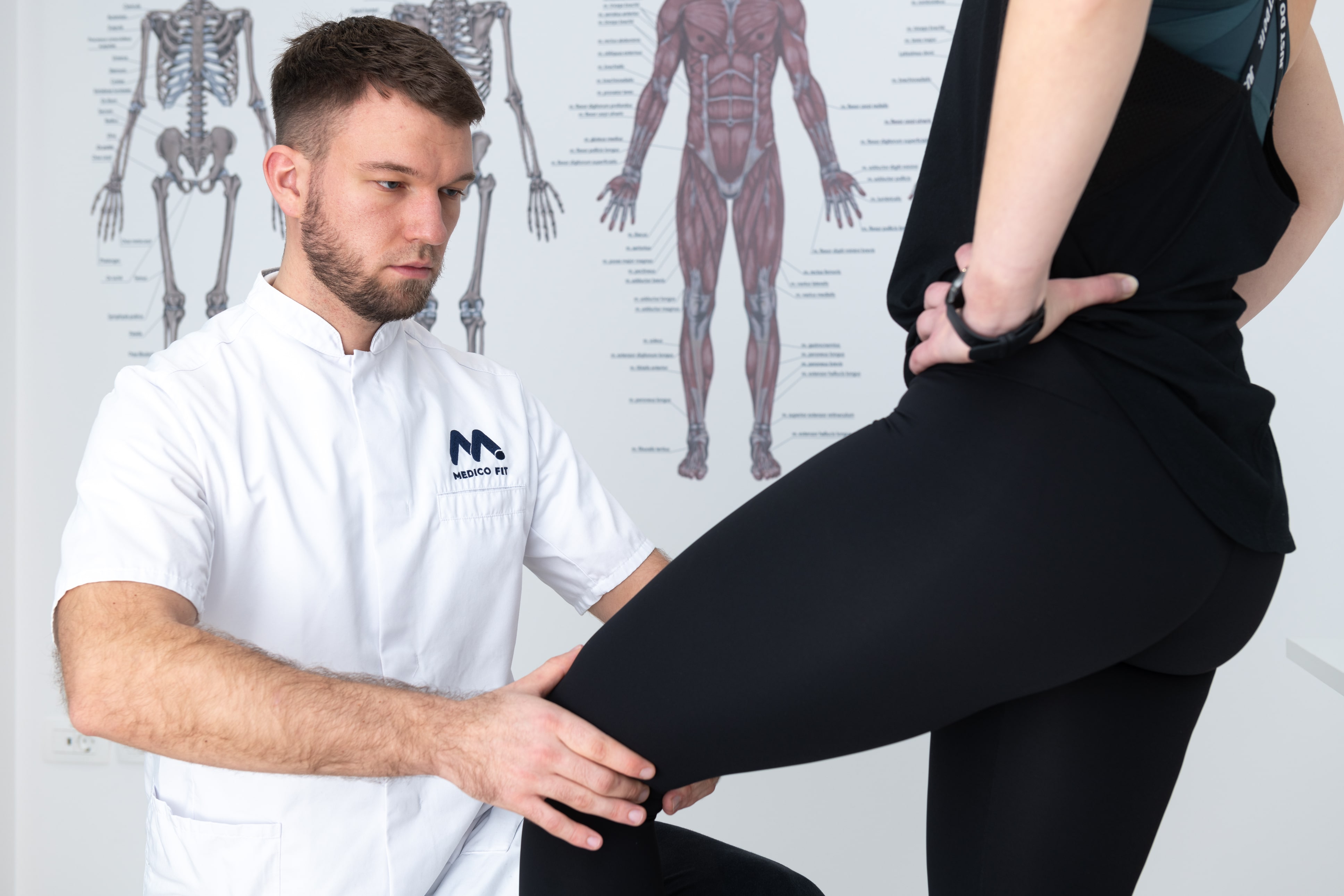 strokovna kineziologija